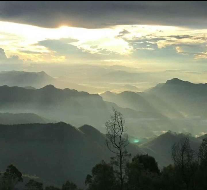 Praveen'S Wood House Kodaikanal Vattakanal ภายนอก รูปภาพ