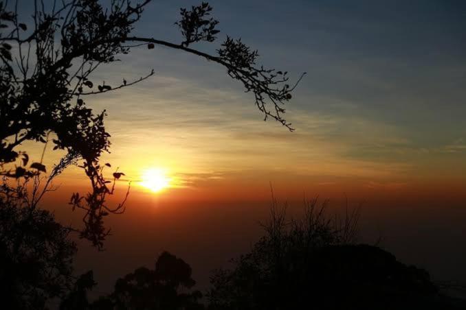Praveen'S Wood House Kodaikanal Vattakanal ภายนอก รูปภาพ