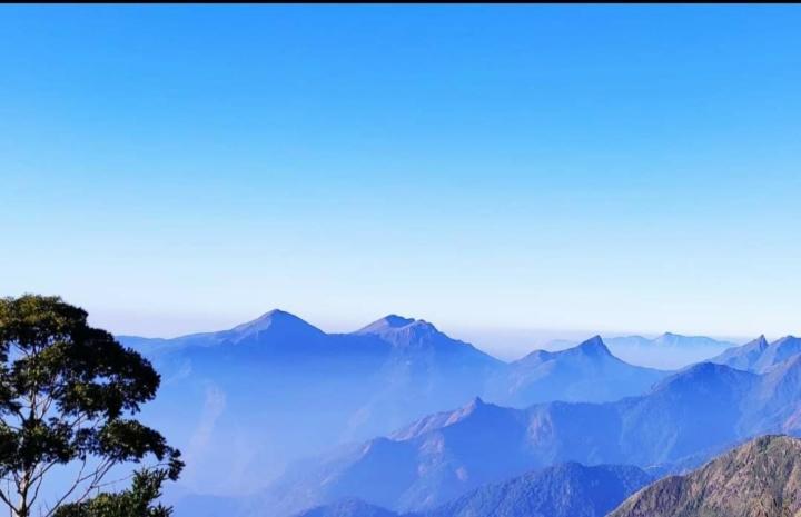 Praveen'S Wood House Kodaikanal Vattakanal ภายนอก รูปภาพ